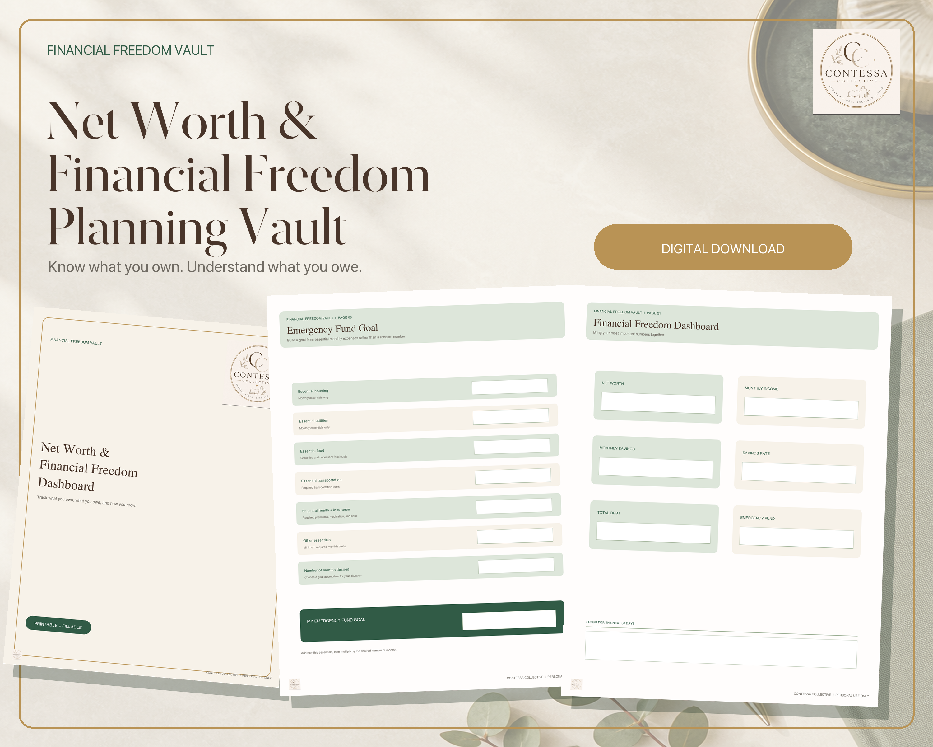 Net Worth & Financial Freedom Planning Vault